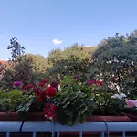 Bella Rosa Daire