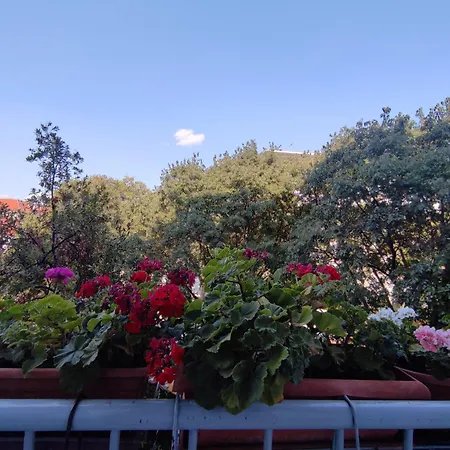 Bella Rosa Appartement