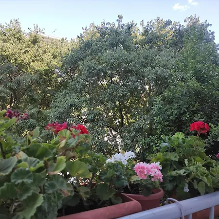 Bella Rosa Appartamento Zara