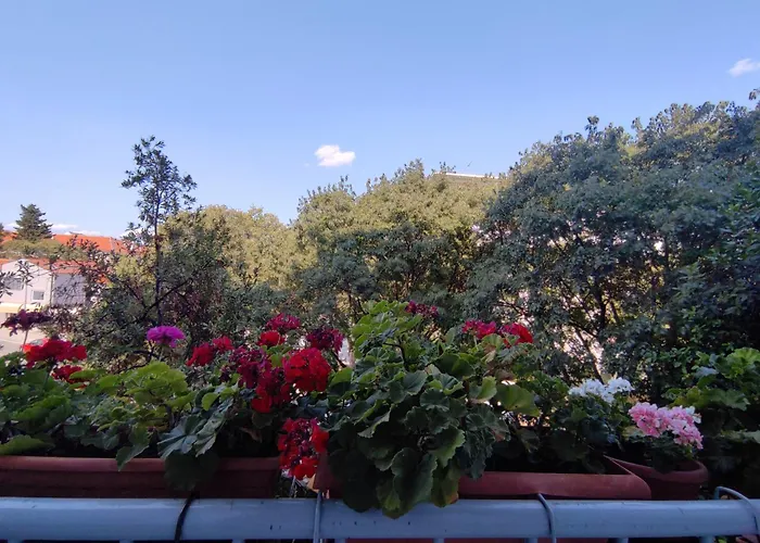 Appartamento Bella Rosa *