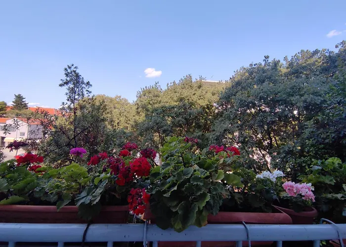 Bella Rosa Lägenhet