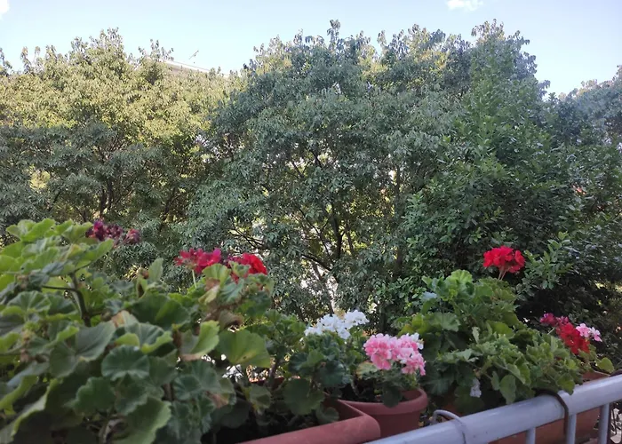 Bella Rosa Lägenhet Zadar